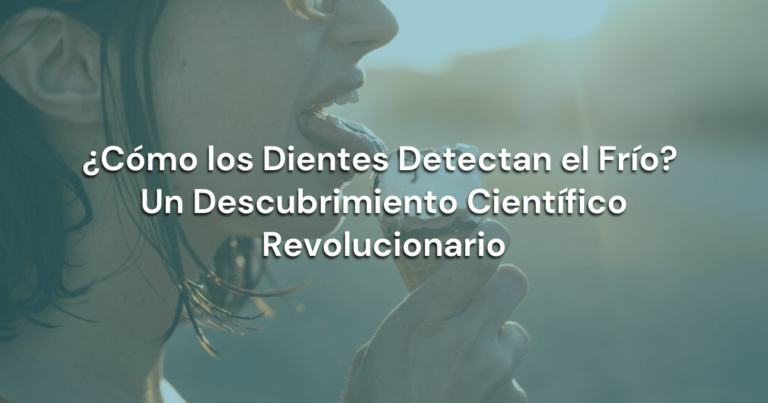 Lee más sobre el artículo ¿Cómo los Dientes Detectan el Frío? Un Descubrimiento Científico Revolucionario